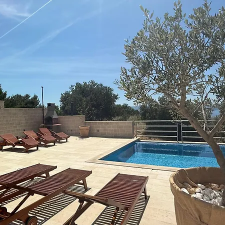 Nikola - Pool Side *