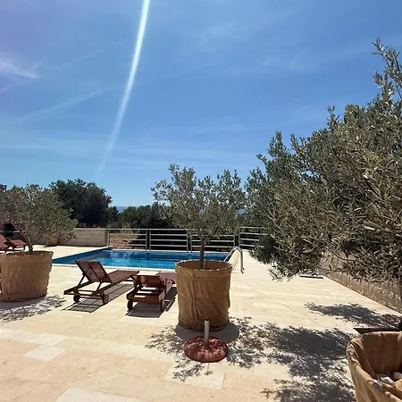 Nikola - Pool Side