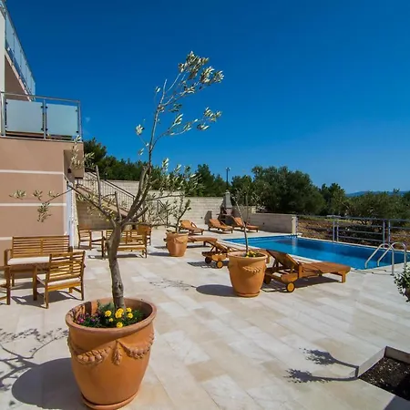 Nikola - Pool Side